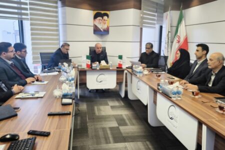 ارزیابی مدل جامع بلوغ مدیریت پروژه در پتروشیمی دهدشت انجام شد