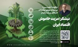 نیشکر؛ مزیت خاموش اقتصاد ایران