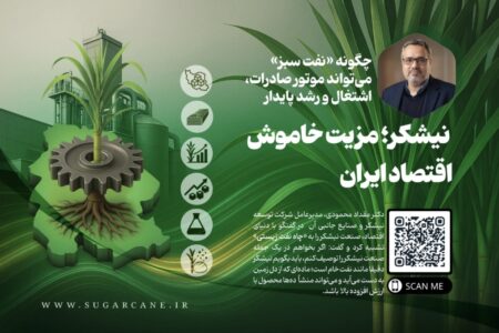 نیشکر؛ مزیت خاموش اقتصاد ایران