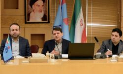 همگرایی دولت و بخش خصوصی با هدف تامین نیاز صنایع تکمیلی پتروشیمی به مواد اولیه