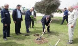 مدیرعامل نفت و گاز مارون به پویش کاشت درختان مثمر پیوست