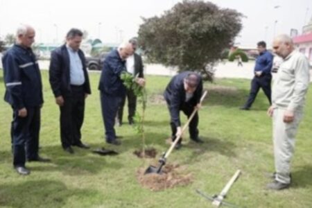 مدیرعامل نفت و گاز مارون به پویش کاشت درختان مثمر پیوست