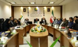 هشتمین نشست شورای راهبردی بازرسی صنعت پتروشیمی کشور برگزار شد