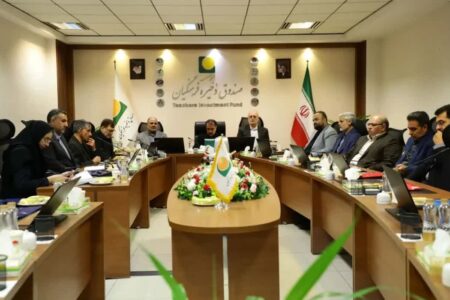 هشتمین نشست شورای راهبردی بازرسی صنعت پتروشیمی کشور برگزار شد