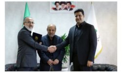 سید محمد هاشمی کیا به عنوان مدیرعامل هلدینگ پتروفرهنگ منصوب شد