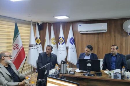 تاکید معاون شستا بر حرکت هلدینگ سلولزی در مسیر بهبود