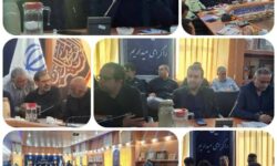 تقدیر رییس ستاد اربعین کشور از مدیرعامل شرکت توزیع نیروی برق خوزستان