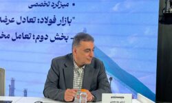 هشدار سعدمحمدی درباره وضعیت صادرات فولاد/ با ساختار سنتی نمی‌توان در صنعت و معدن بلندپروازی کرد/ ساختار ما نیازمند تغییر است